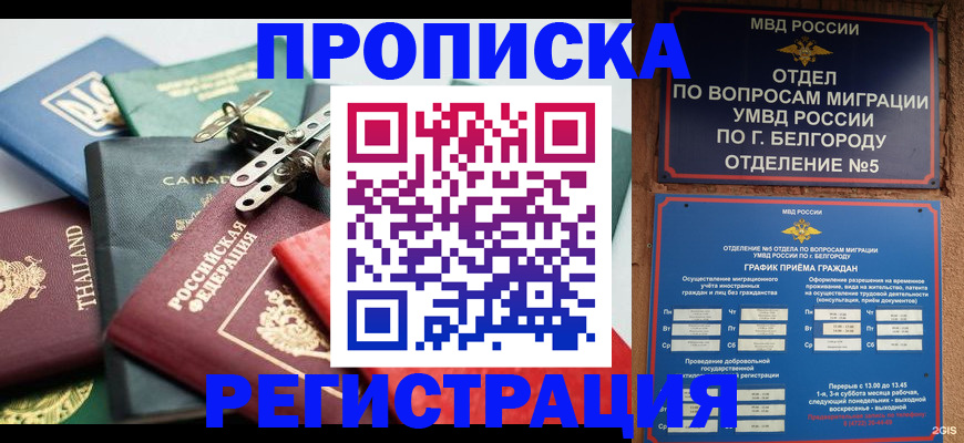 временная регистрация недорого в Сосенском